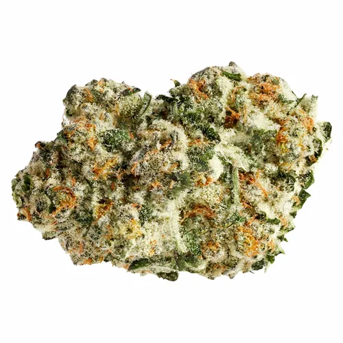 Area 51 - Pure Sunfarms - Dried Flower