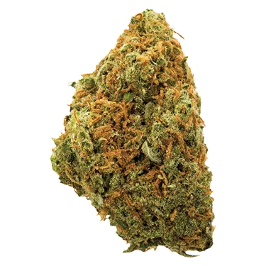 Product image of Moose Tracks - Potluck - Dried Flower