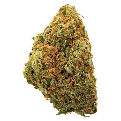Product image of Moose Tracks - Potluck - Dried Flower