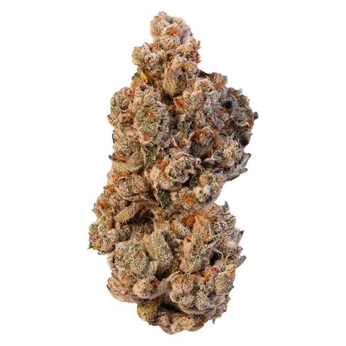 Product image of Lemon Ztrawz - FOUR54 - Dried Flower