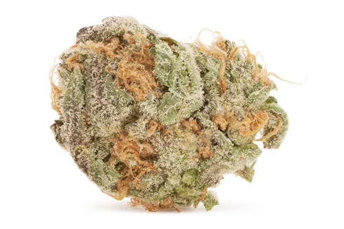 Cosmic Slurbert Smalls - BC Smalls - Dried Flower
