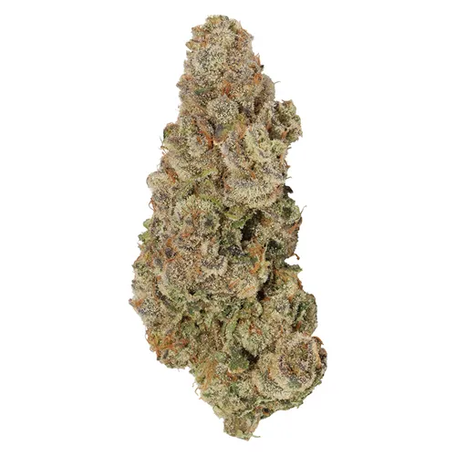 Product image of Envy - Carmel - Dried Flower