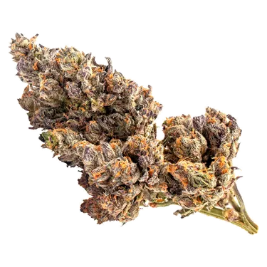 Product image of Sativa Bag - Baggies - Dried Flower