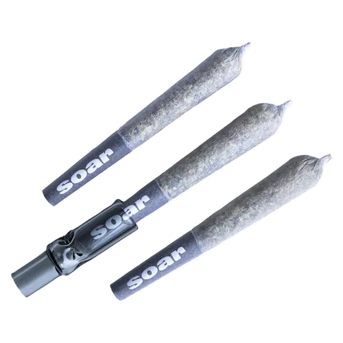 Product image of Brain Cake - Soar - Joints