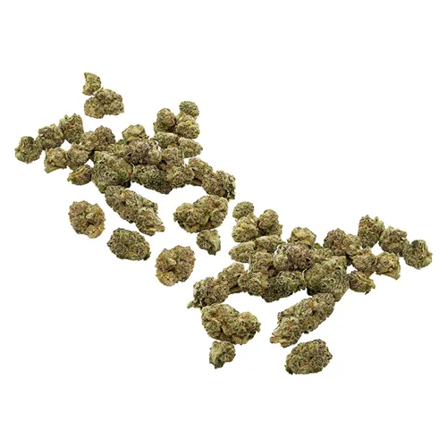 Chance XXL -Community - Dried Flower