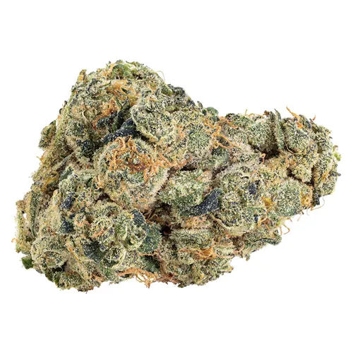 UK Cheddar Cheese - Big Bag O' Buds - Dried Flower