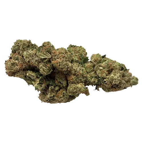 King's Cake Flower - One King - Dried Flower