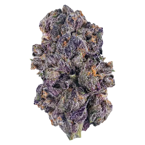 Product image of Ono Astrono - Ono - Dried Flower