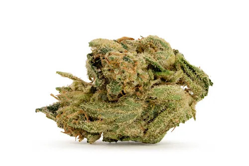 Product image of Lobster Rollz - BC 1/4 - Dried Flower