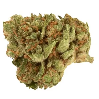 No. 7 Craft - FIGR - Dried Flower