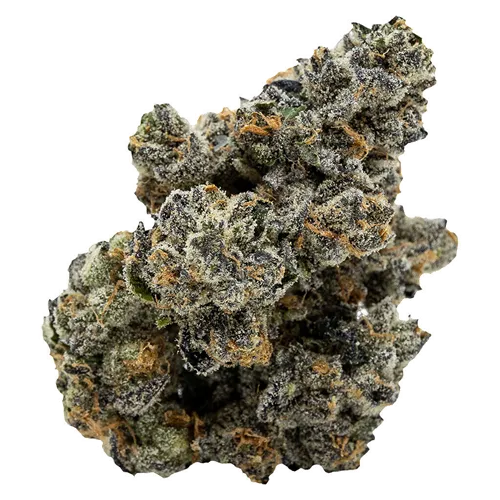 Product image of Blackberry Breath - Pistol and Paris - Dried Flower