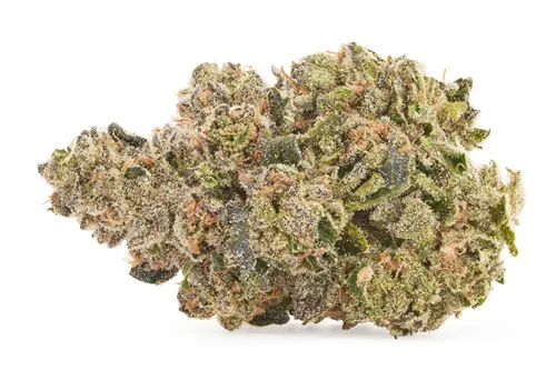 Product image of Hippie Pop - Salt Spring Magic - Dried Flower