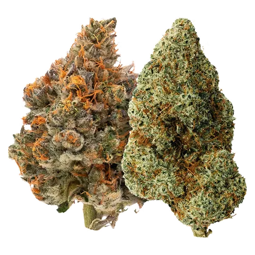 Product image of Two Pack: Mystery Made & Bully Kush - Carmel - Variety Flower