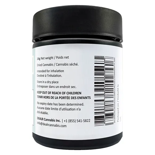 Frostade - Dealr - Dried Flower