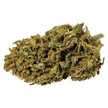 Product image of Blueberry Bliss - Abide - Dried Flower