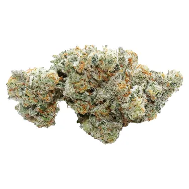 Product image of Marshmallow Milk - Volo - Dried Flower