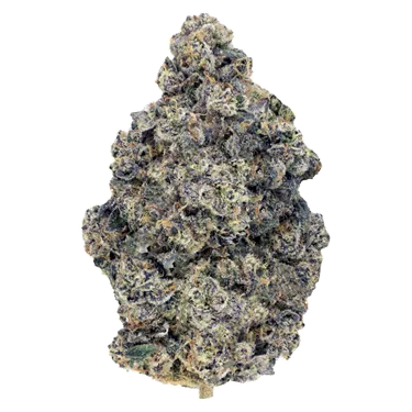 Product image of 33 Splitter Craft Flower - Woody Nelson - Dried Flower