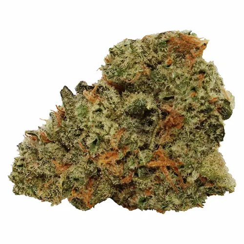 Product image of Tropical Milkshake - Tam Tams - Dried Flower