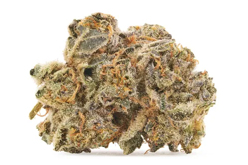 Gas N' Up - MTL Cannabis - Dried Flower