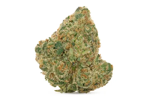 Product image of Exotics - West Coast Gas - Dried Flower