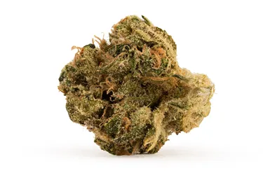 Product image of Orange Kush Cake - Joi Botanicals - Dried Flower