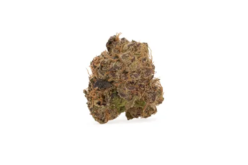 Product image of Milk & Cookies - Broken Coast - Dried Flower