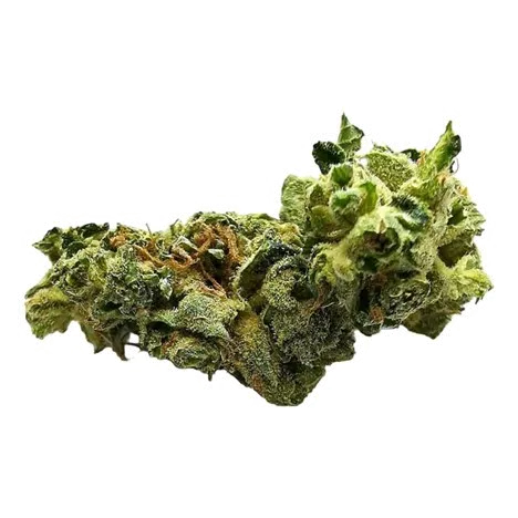 Product image of Mac Melon OG - Elevator - Dried Flower