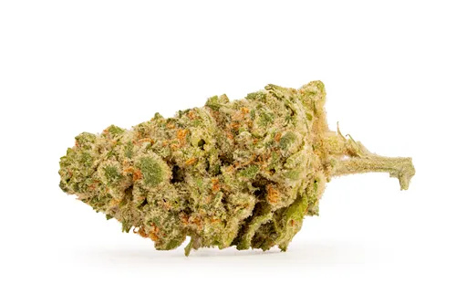 Product image of Trial No. 015 - Pure Sunfarms - Dried Flower