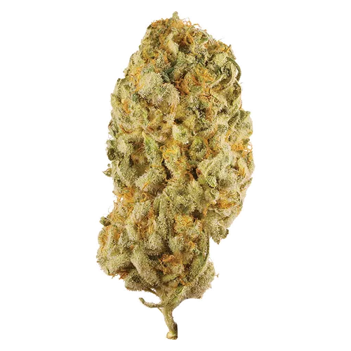Product image of Jack Herer - Station House - Dried Flower