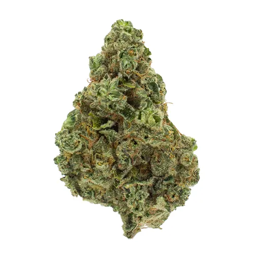 Korean BBQ - Encore - Dried Flower