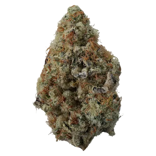 Product image of Spritzer - Volo - Dried Flower