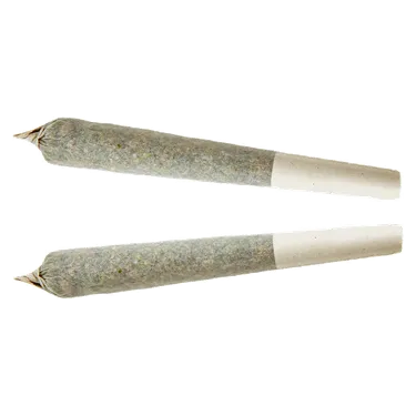 Product image of Sativa - XPLOR - Joints