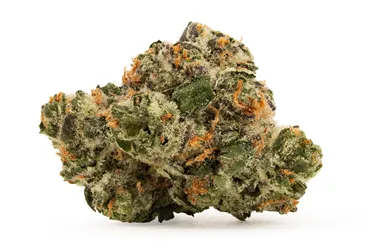 Product image of Okgn Peach - The Kitchen - Dried Flower