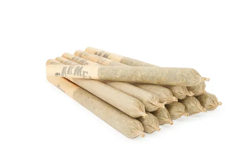 Animal Face - Carmel - Joints