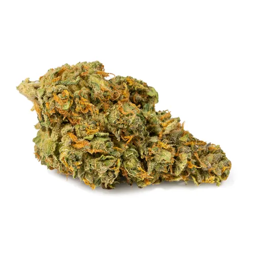 Airplane Mode  - AltaVie - Dried Flower