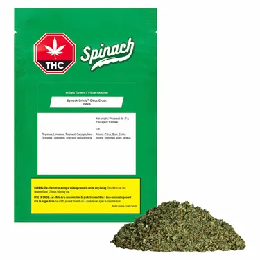 Product image of Citrus Crush - Spinach Grindz - Pre-Ground Blend