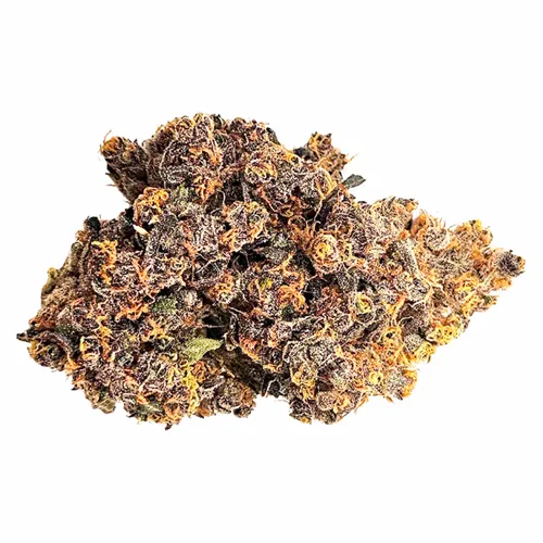 Pink Slurricane - LaHoja - Dried Flower