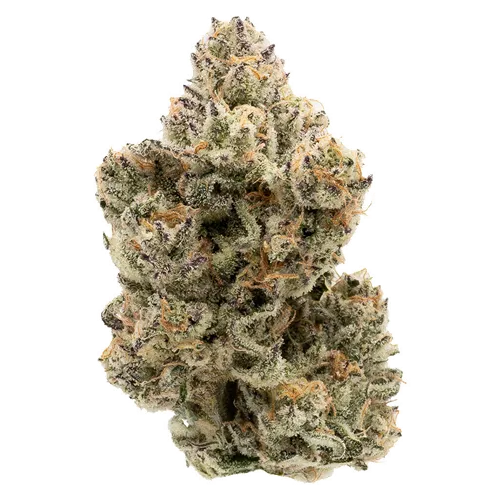Product image of The Collective Oz - Northern Canna - Dried Flower