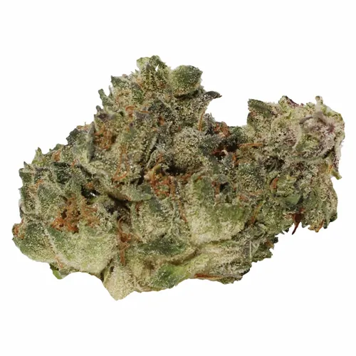 Product image of Artisan - Homage - Dried Flower