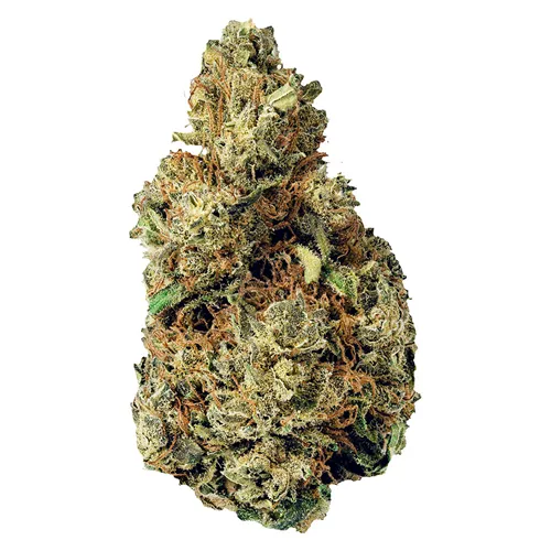 Product image of Resting Gas Face - Terp Town Collective - Dried Flower
