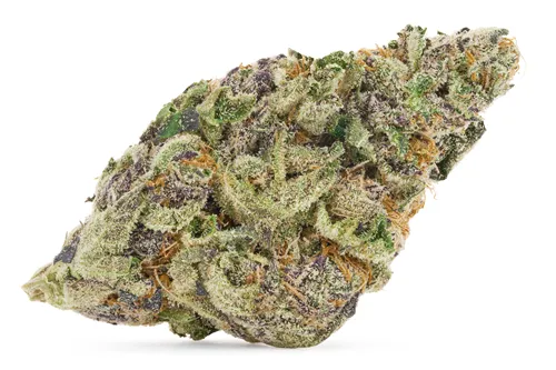 Product image of Guzzlers #6 - Salt Spring Magic - Dried Flower