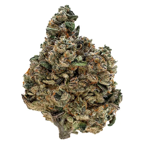 Product image of Gran Turismo - Tribal - Dried Flower