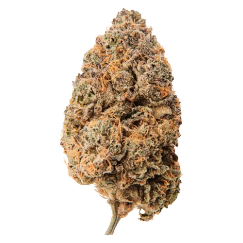 Product image of Lemon Grapefruit - Boreal - Dried Flower