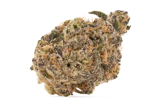 Product image of Critical Condition - PureFire - Dried Flower