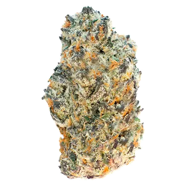 Product image of Red Rozay - FOUR54 - Dried Flower