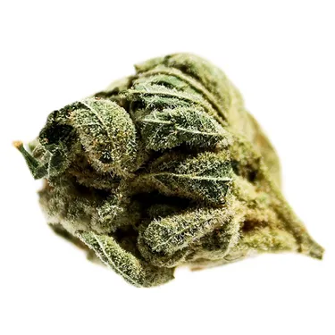 Product image of Frosted Cherry - Potluck - Dried Flower