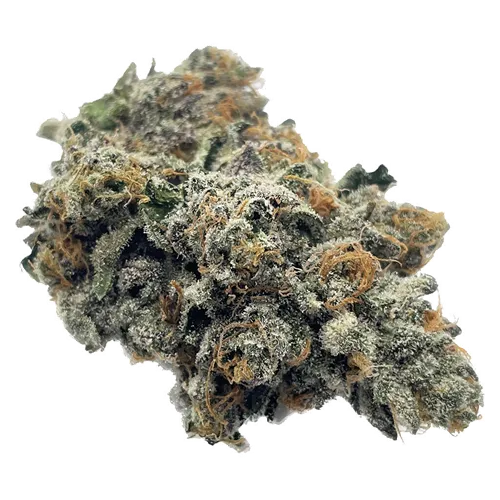 Product image of Candy Gas - The Drip - Dried Flower