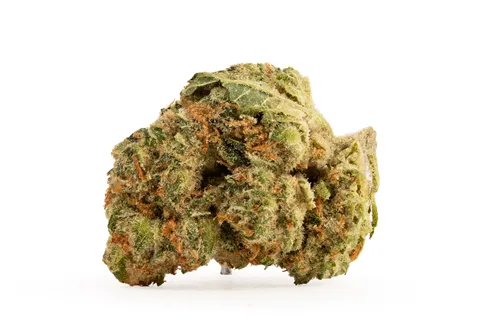 Cherry Tang - Pure Sunfarms - Dried Flower