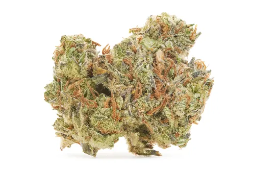 Product image of Piña Colada - BC OZ - Dried Flower