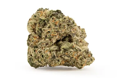 Product image of Tropicana Cookies - The Loud Plug - Dried Flower